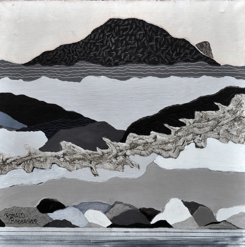 Ronald  Boonacker + Silver landscape